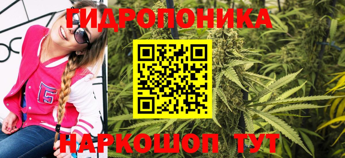 Каннабис White Widow Дальнереченск